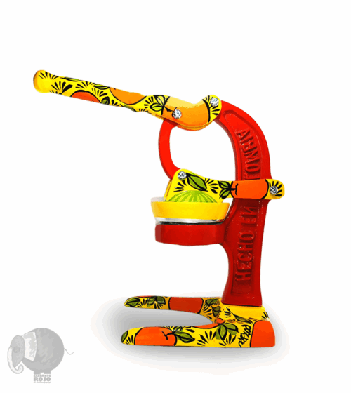 Conjunto Vallenato 9 Expresos